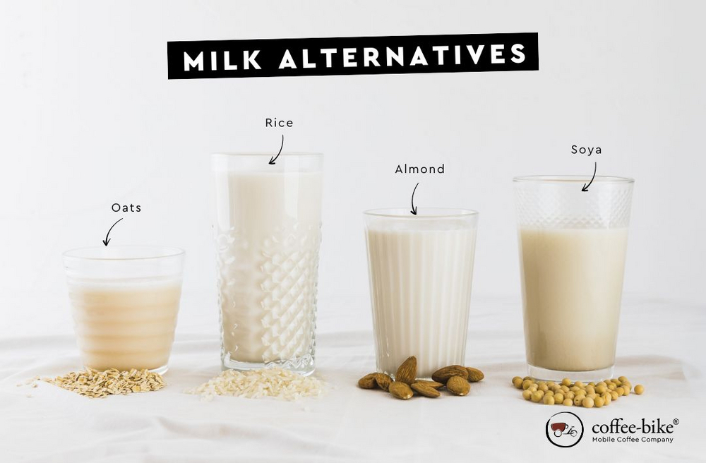 Overview of the most popular milk alternatives