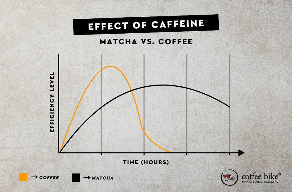 Infographic Effect of caffeine in matcha vs. coffee over time