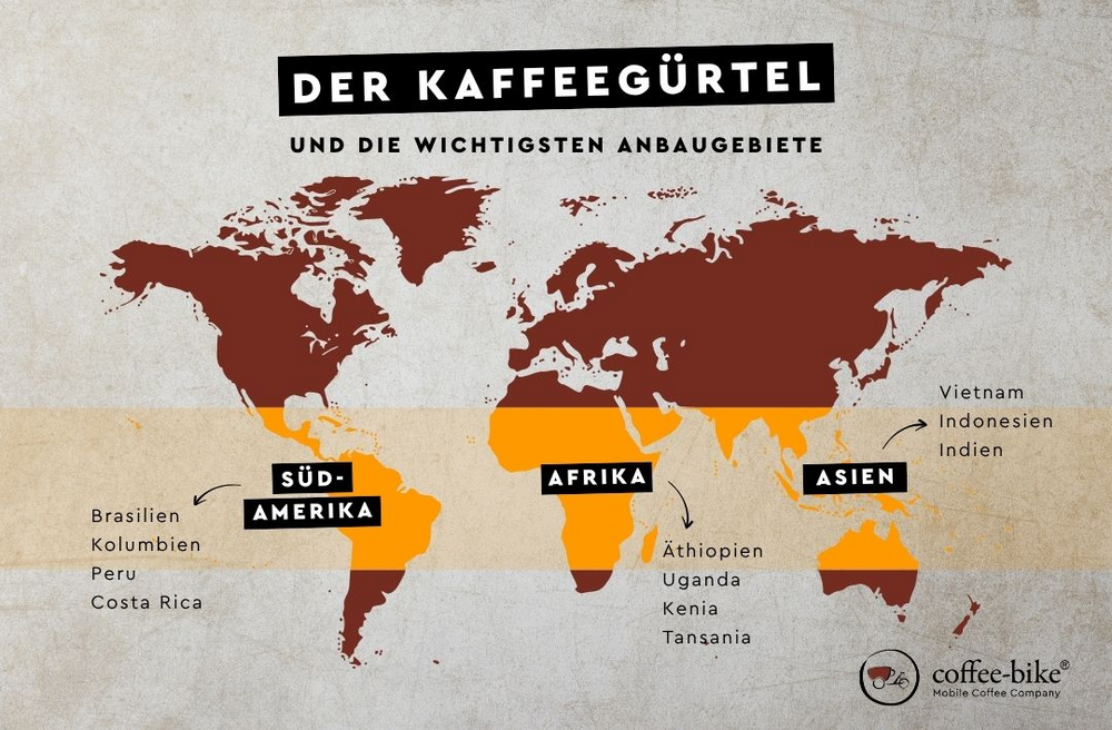 Infografik des Kaffeegürtels mit den wichtigsten Kaffeeanbaugebieten weltweit.