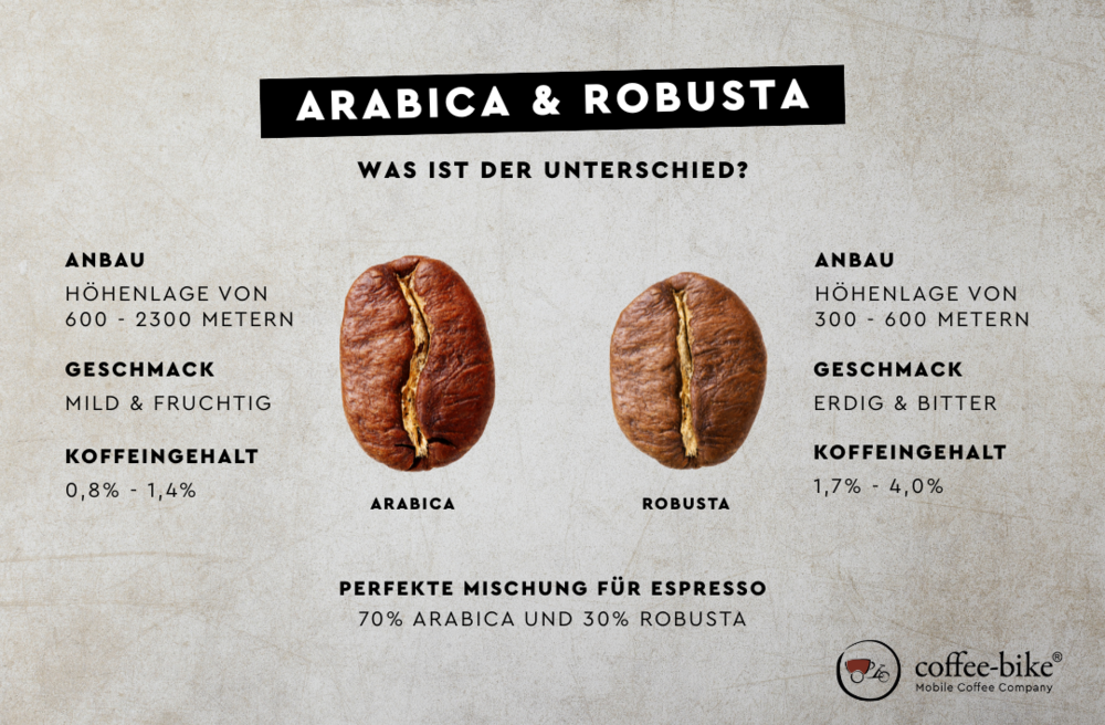 Infografik zu Arabica vs. Robusta, sie zeigt den Unterschied zwischen Anbaugebiet, Geschmack und Koffeingehalt.