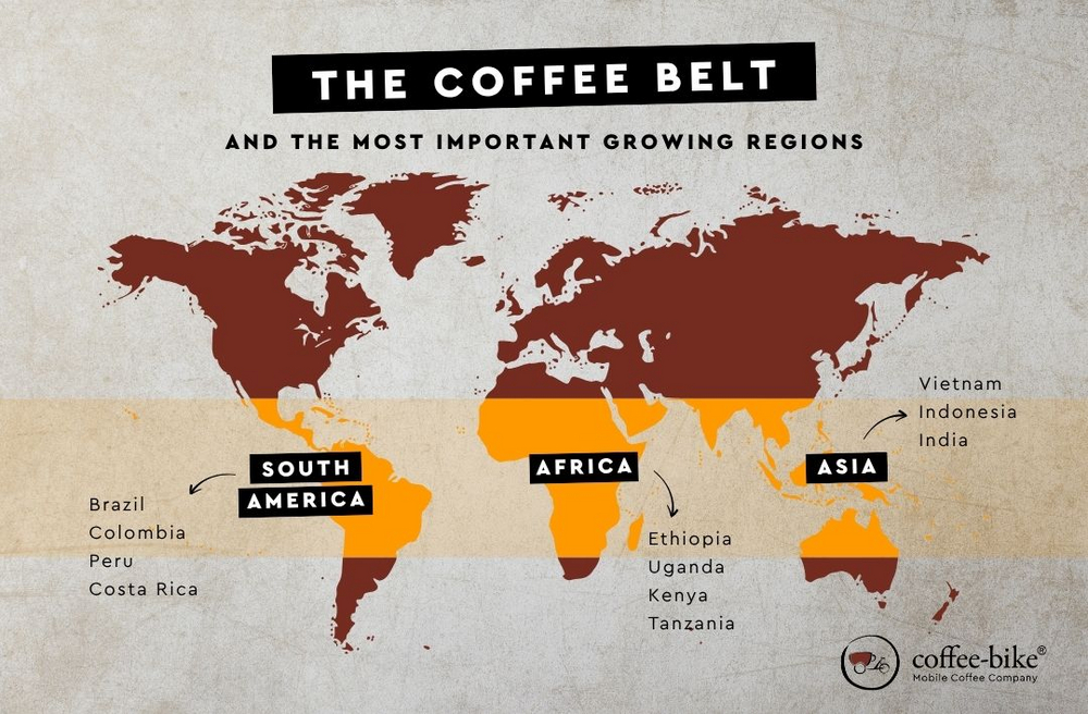 Infographic of the coffee belt showing the main coffee-growing regions around the world