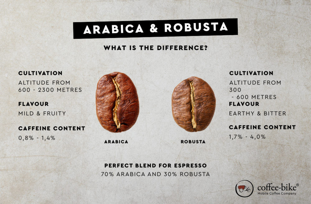 Infographic on Arabica vs. Robusta, showing the difference between growing regions, taste and caffeine content.