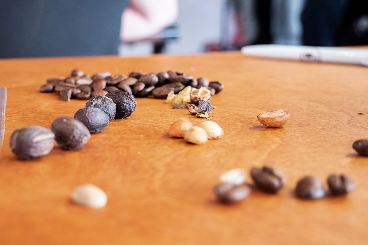 Boabele de cafea în diferite faze de prăjire sunt așezate pe tabla de zahăr a bicicletei Coffee-Bike.