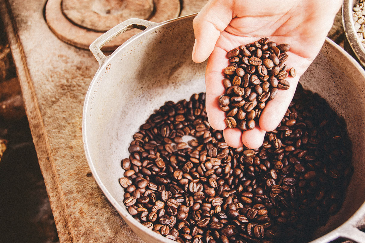 Hand reaches into a coffee bean container and presents the roasted espresso beans